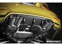 Eisenmann BMW M3/M4 F8x Rear silencer (EC) Exhaust
